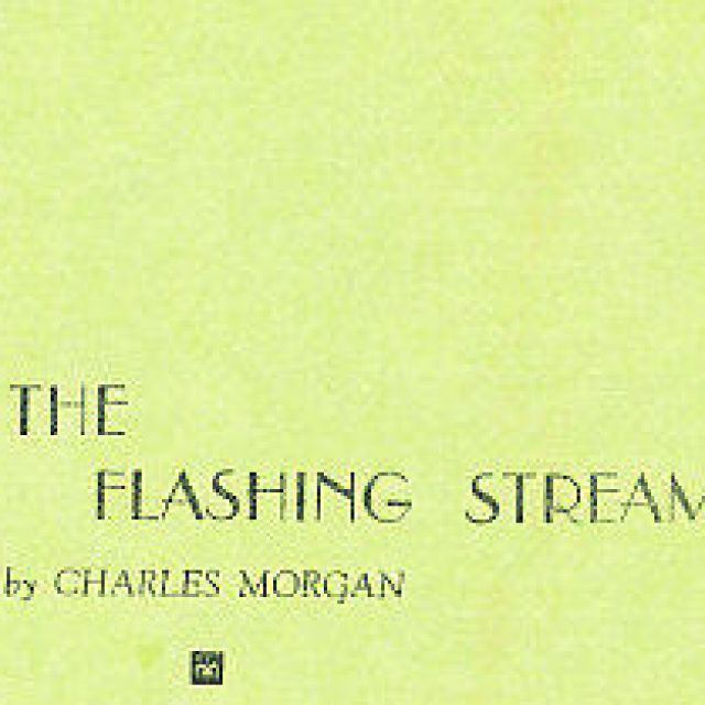 The Flashing Stream