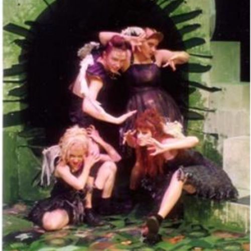 The Fairies, 1991.